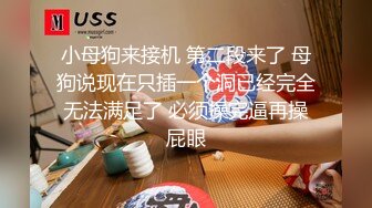 小母狗来接机 第二段来了 母狗说现在只插一个洞已经完全无法满足了 必须操完逼再操屁眼