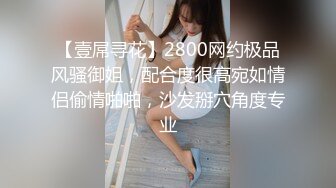 【壹屌寻花】2800网约极品风骚御姐，配合度很高宛如情侣偷情啪啪，沙发掰穴角度专业