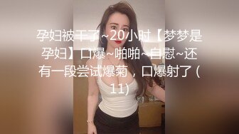 孕妇被干了~20小时【梦梦是孕妇】口爆~啪啪~自慰~还有一段尝试爆菊，口爆射了 (11)