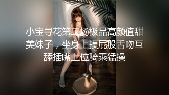 小宝寻花第二场极品高颜值甜美妹子，坐身上摸屁股舌吻互舔插嘴上位骑乘猛操