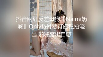 抖音网红反差母狗『Naimi奶咪』Onlyfa付费订阅私拍流出 啪啪露出自慰