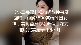 【小宝寻花】红内裤战神再度回归，约操3500高端外围女神，美乳苗条沙发调情，花式啪啪完美展示【水印】