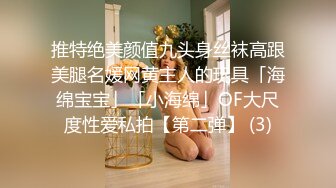 推特绝美颜值九头身丝袜高跟美腿名媛网黄主人的玩具「海绵宝宝」「小海绵」OF大尺度性爱私拍【第二弹】 (3)